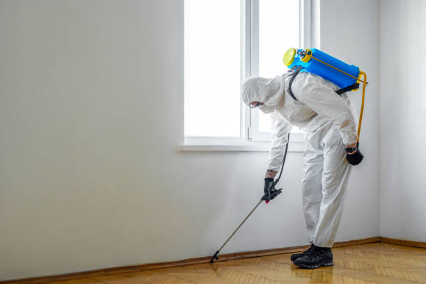 Best Pest Removal Services  in Clay, AL