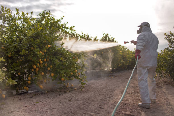 Best Best Pest Control Companies  in Clay, AL