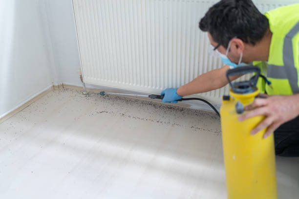 Best Best Pest Control Companies  in Clay, AL